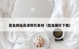 贺州昆虫网站高清照片素材（昆虫图片下载）